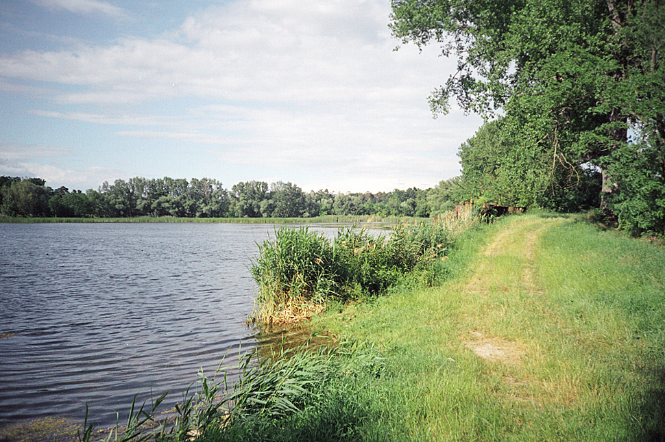 06.jpg