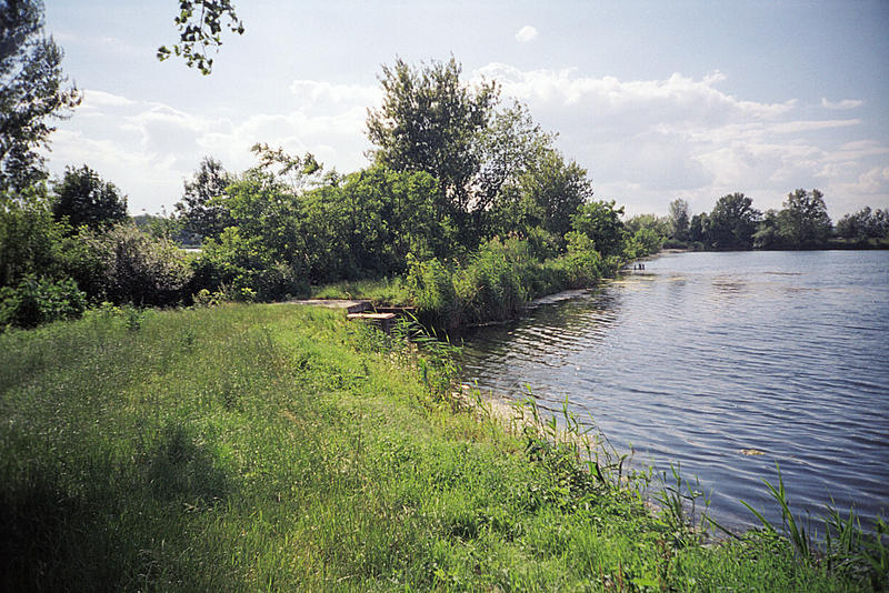 05.jpg