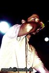 hq2k5_846.jpg